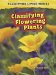  Classifying Flowering Plants