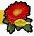 The Magnetic Chrysanthemum Companion