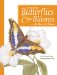  Painting Butterflies & Blooms With Sherry C. Nelson