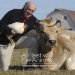  At Rest with the Animals: Thoughts over Thirty Years