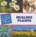  Healing Plants