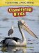  Classifying Birds