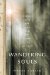  Wandering Souls: Journeys with the Dead and the Living in Vietnam