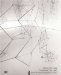  Gego, 1957-1988: Thinking the Line