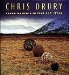  Chris Drury: Found Moments in Time and Space