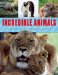  Incredible Animals