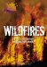  Wildfires: The Science Behind Raging Infernos