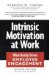  Intrinsic Motivation at Work: What Really Drives Employee Engagement