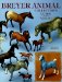  Breyer Animal Collectors Guide: Identification and Values