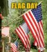  Flag Day