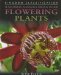  Sunflowers, Magnolia Trees & Other Flowering Plants