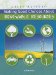  Making Good Choices About Renewable Resources