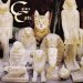  Cairo Cats