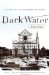  Dark Water: Art, Disaster, and Redemption in Florence