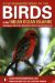A Photographic Guide to the Birds of the Indian Ocean Islands: Madagascar, Mauritius, Seychelles, Reunion and the Comoros