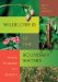  Wildflowers of the Boundary Waters: Hiking Through the Seasons