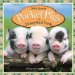  Pocket Pigs of Pennywell Farm 2010 Calendar