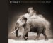  On This Earth: Photographs From East Africa