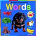  My Giant Fold-out Book of Words