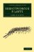  Insectivorous Plants