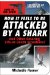  How It Feels to Be Attacked by a Shark: And Other Amazing Life-or-Death Situations!