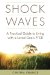  Shock Waves: A Practical Guide to Living With a Loved One's PTSD