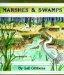  Marshes & Swamps