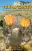  Texas Cacti