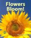  Flowers Bloom!