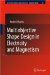  Multiobjective Shape Design in Electricity and Magnetism