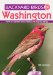  Backyard Birds of Washington