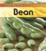  Broad Bean