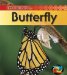  Life Cycle of a Butterfly