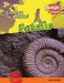  Fossils