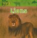  Lions