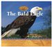 The Bald Eagle