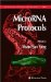  MicroRNA Protocols