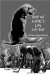  Give Me A Dog's Life Any Day: African Absurdities Ii