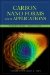  Carbon Nano Forms and Applications