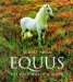  Equus