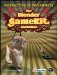 The Blender Gamekit: Interactive 3d for Artists
