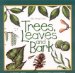  Trees, Leaves and Bark