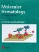  Molecular Hematology
