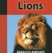  Lions
