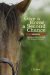 Give a Horse a Second Chance: Adopting and Caring for Rescue Horses
