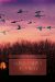  Mississippi Flyway