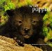  Wild Puppies