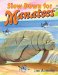  Slow Down for Manatees