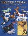  Breyer Animal Collector's Guide: Identification and Values