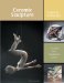  Ceramic Sculpture: Inspiring Techniques